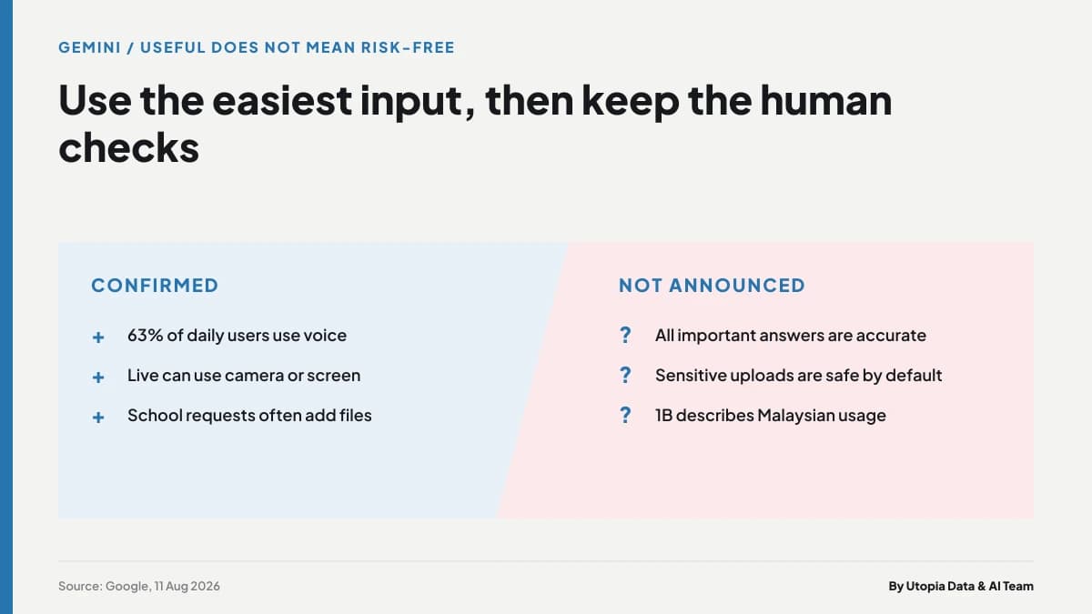 Infographic separating practical Gemini input methods from the checks users still need around accuracy and sensitive information