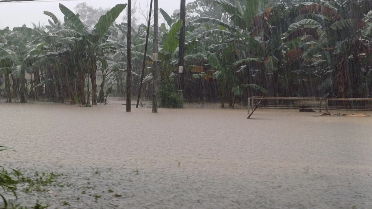 Heavy rain falling over a brown flooded road in front of banana plants, with power poles and a metal fence standing in the water