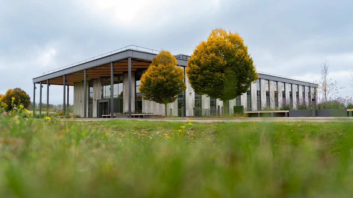 A modern two-storey building with a wide timber-lined canopy and pale panelled walls, fronted by two round trees in autumn yellow and a blurred strip of grass