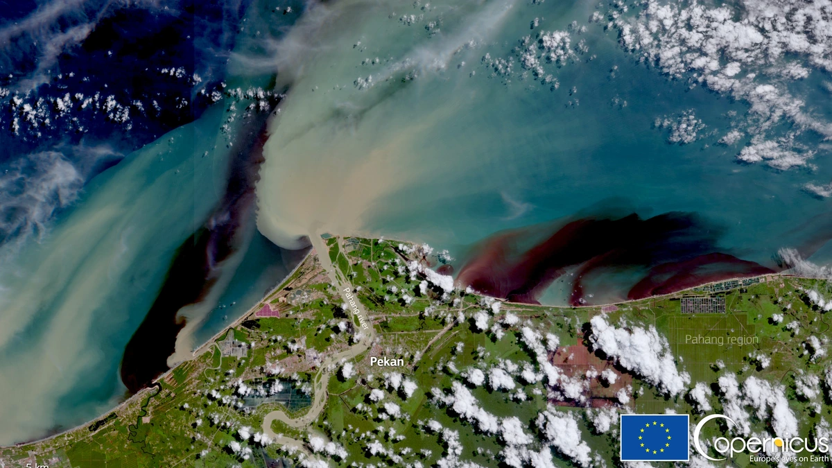 Satellite view of the Pahang River mouth near Pekan, with a broad plume of brown sediment spreading into the blue South China Sea and scattered white clouds over green farmland