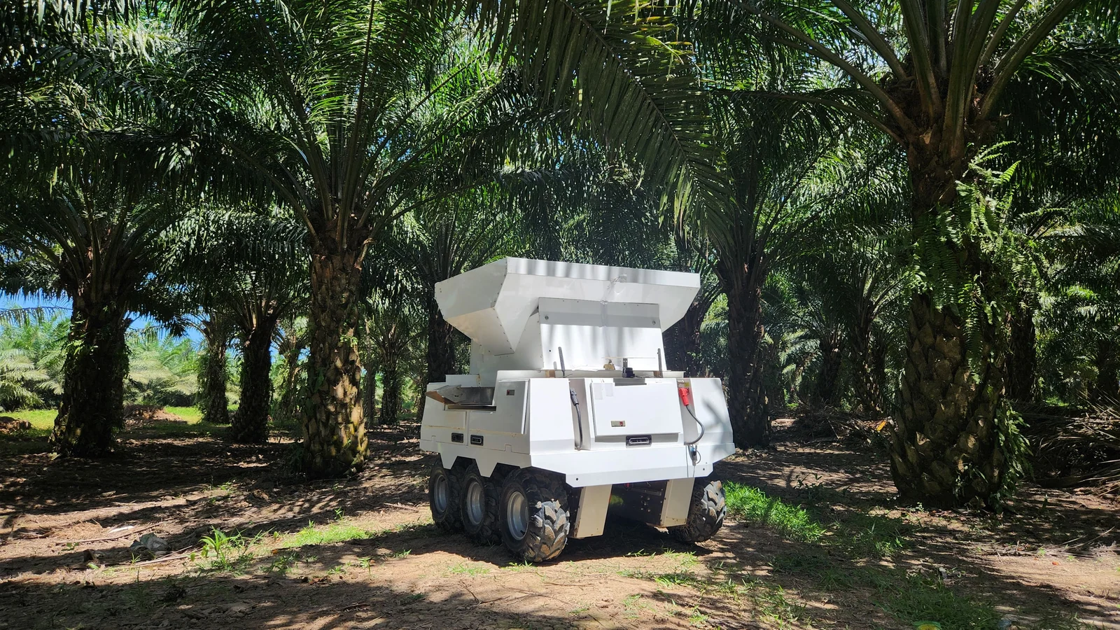 Braintree's fertilizer robot operates between rows in an oil palm plantation