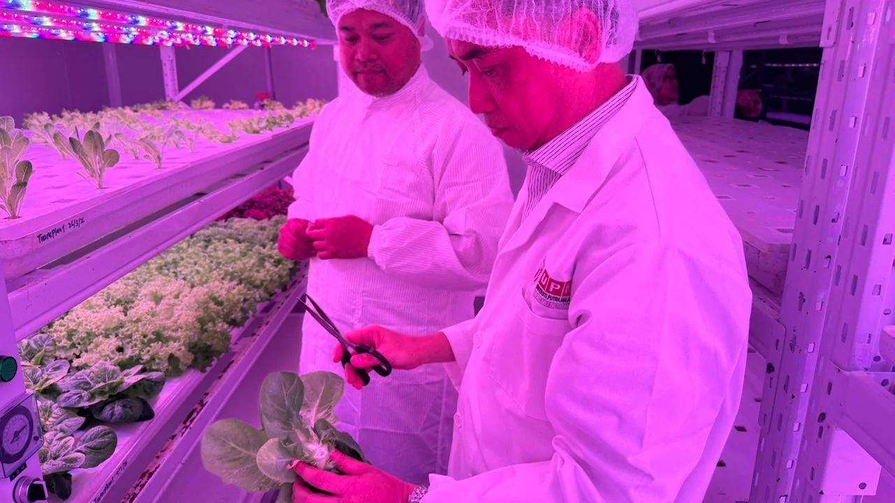 UPM officials inspect leafy vegetables under controlled lights at the university's Plant Factory